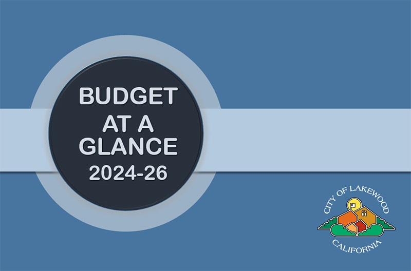 BUDGET-AT-A-GLANCE 