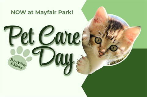 Pet Care Day with photo of kitten on green background